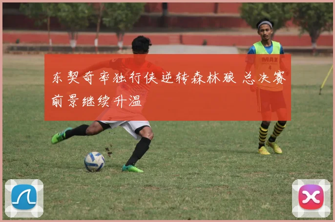 东契奇率独行侠逆转森林狼 总决赛前景继续升温